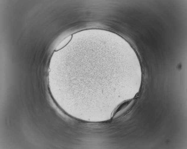 X0000115641391200912221301