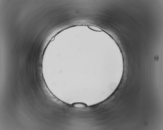 X0000115641392200912221301