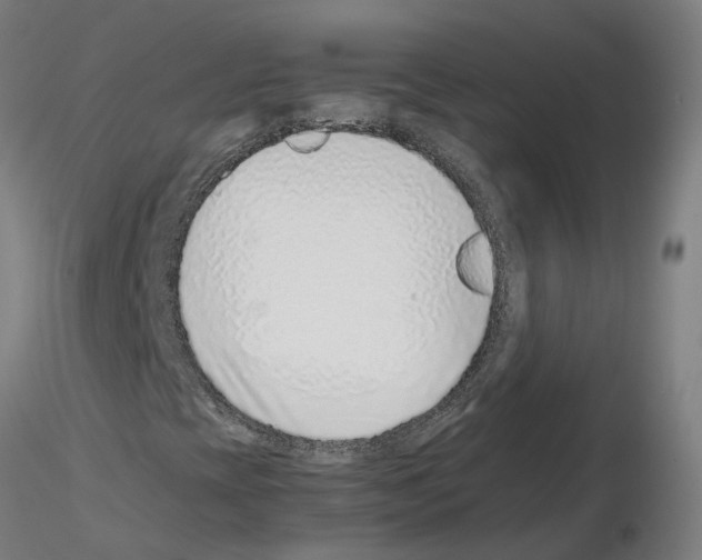 X0000115641393200912221300