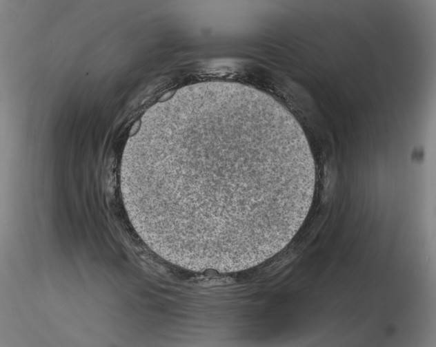 X0000115641394200912221300