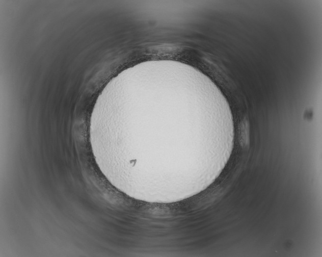 X0000115641395200912221300