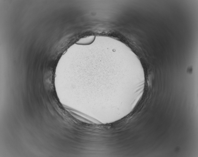 X0000115641396200912221300