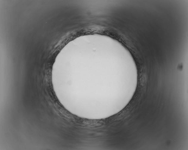 X0000115641397200912221300