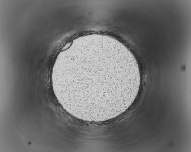 X0000115641398200912221300