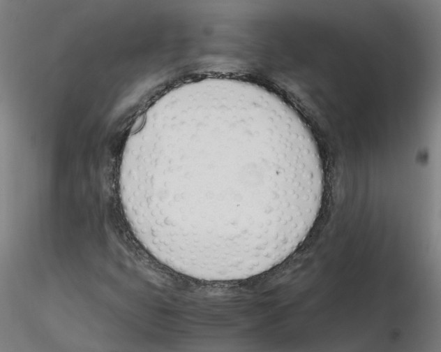 X0000115641399200912221300