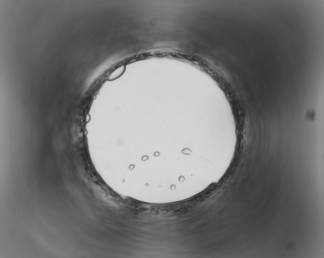 X0000115641400200912221300