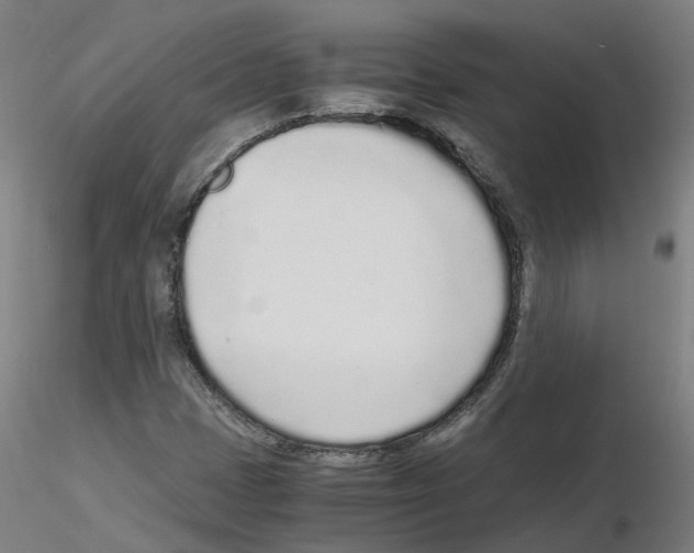 X0000115641401200912221300