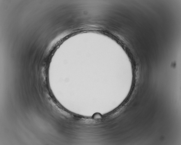 X0000115641402200912221300