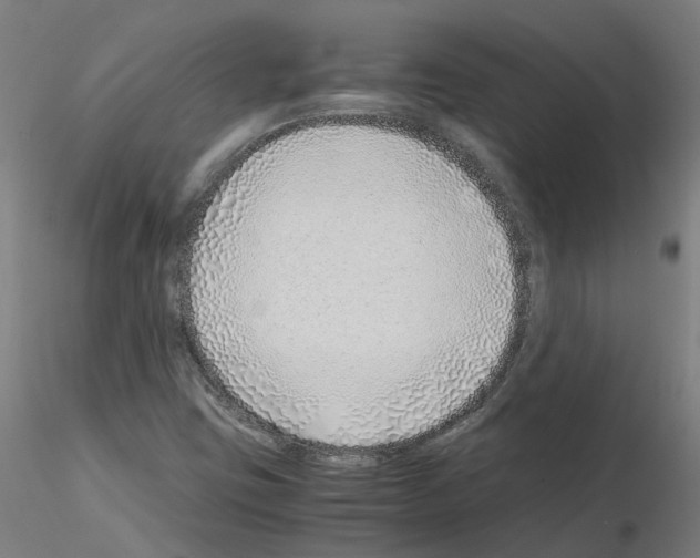 X0000115641403200912221300