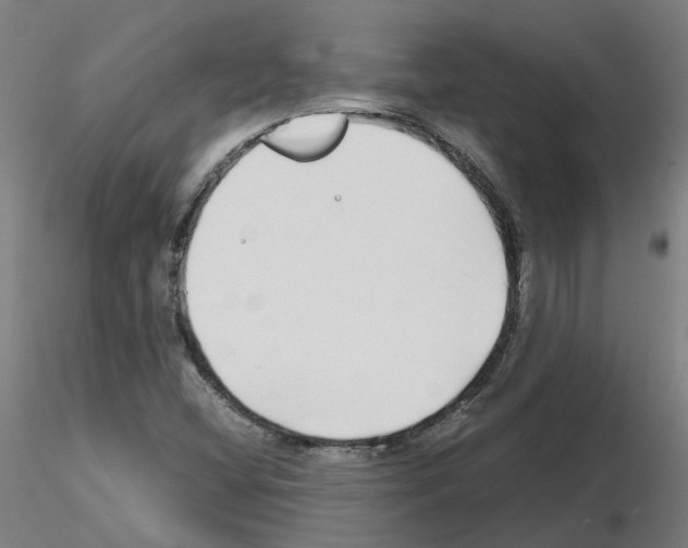 X0000115641404200912221300