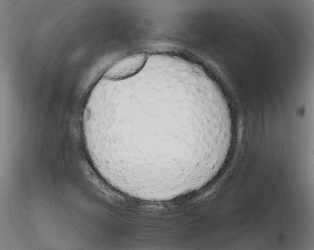 X0000115641405200912221300