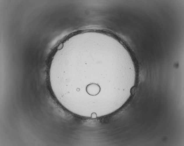 X0000115641406200912221300