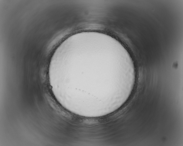 X0000115641407200912221300