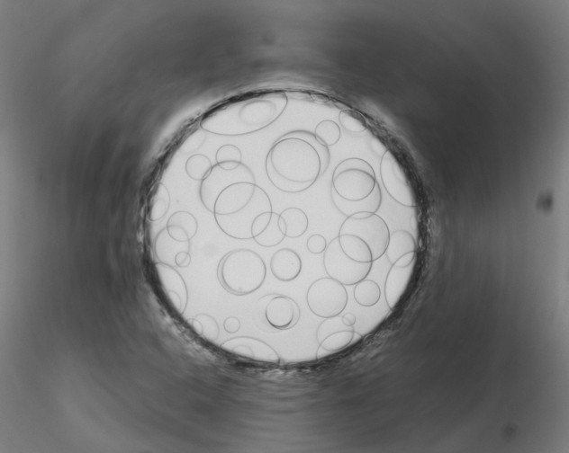 X0000115641408200912221300
