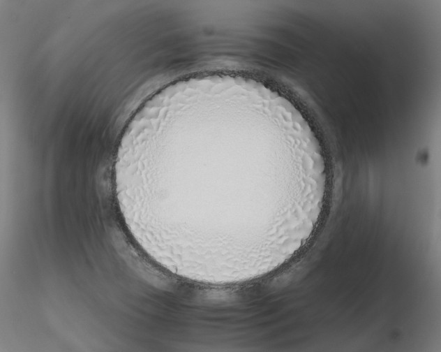 X0000115641409200912221300
