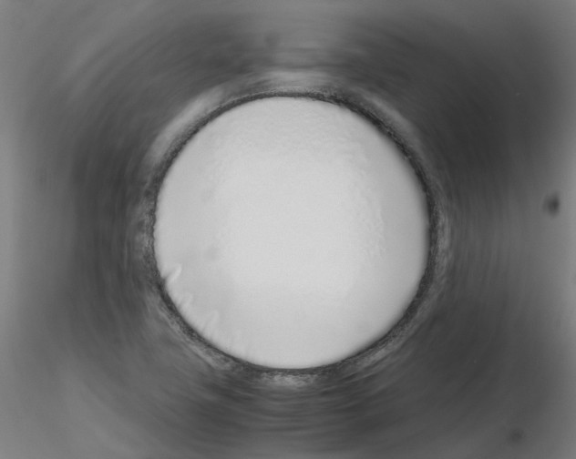 X0000115641411200912221300