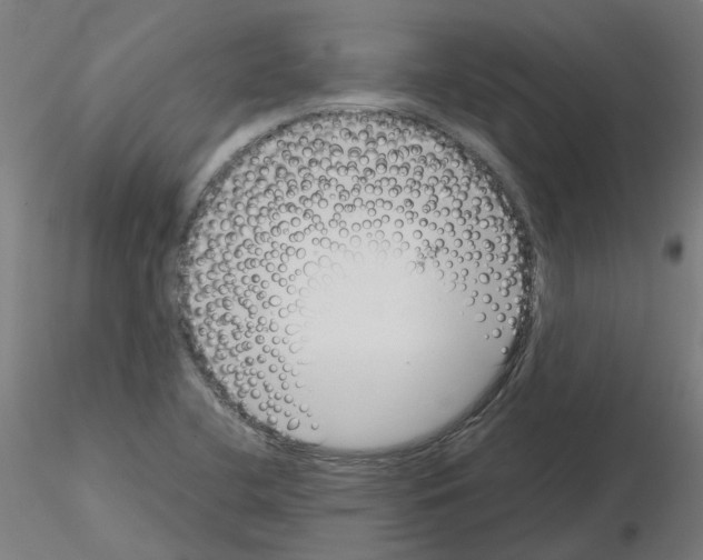 X0000115641412200912221300