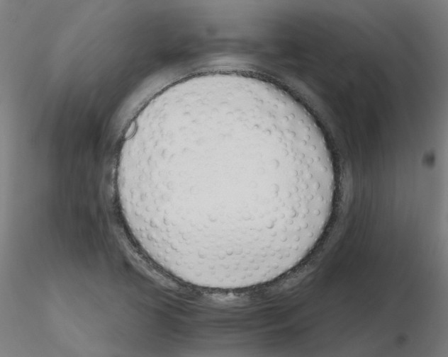 X0000115641413200912221300
