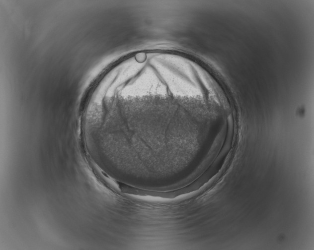 X0000115641414200912221300