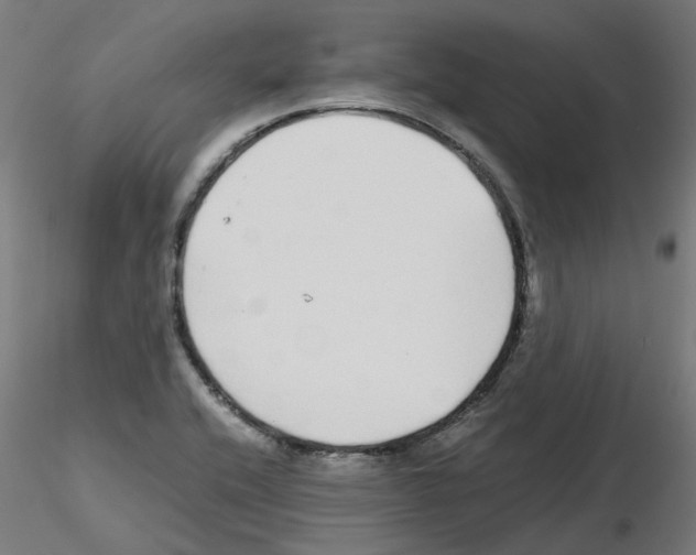 X0000115641416200912221300