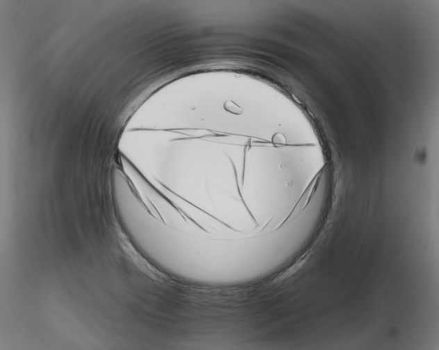 X0000115641417200912221300