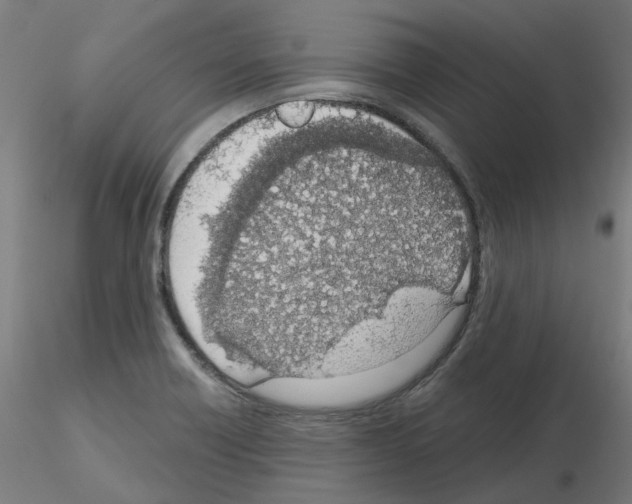 X0000115641418200912221300