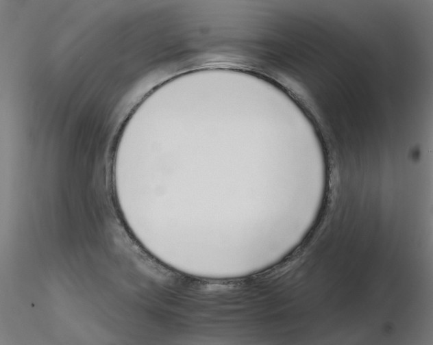 X0000115641419200912221300