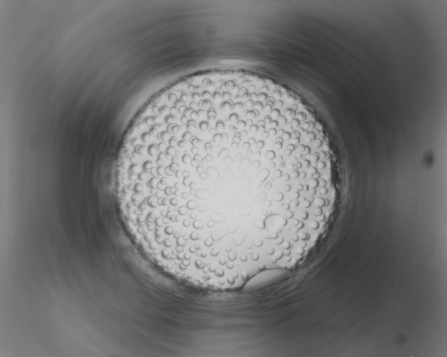 X0000115641420200912221300