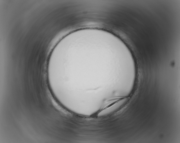 X0000115641421200912221300