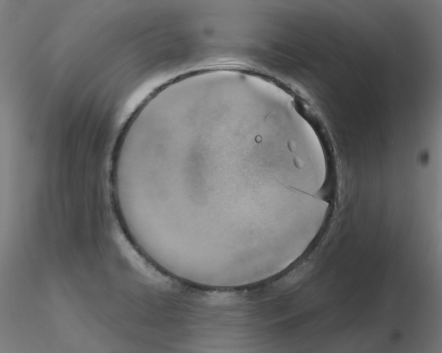 X0000115641422200912221301