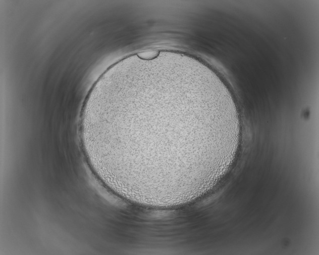 X0000115641423200912221301