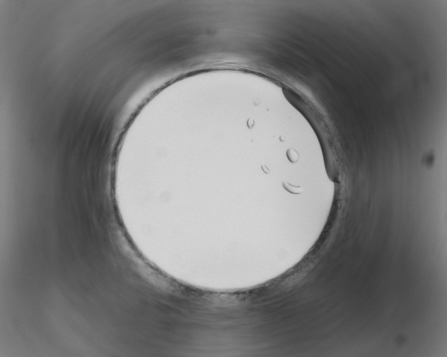 X0000115641424200912221301