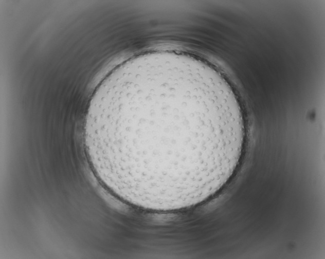 X0000115641425200912221301