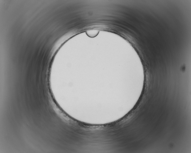 X0000115641426200912221301