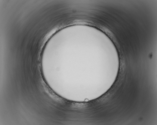 X0000115641427200912221301