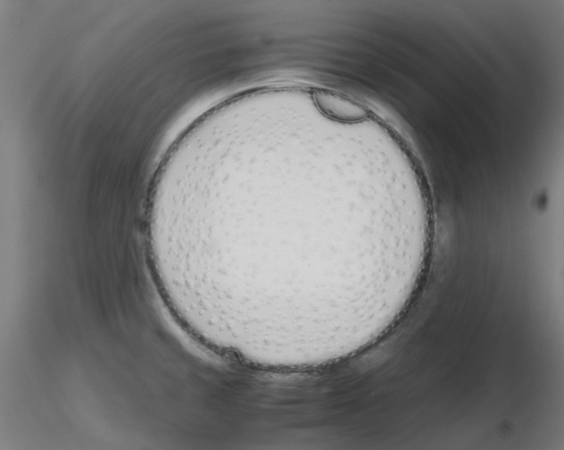 X0000115641429200912221301