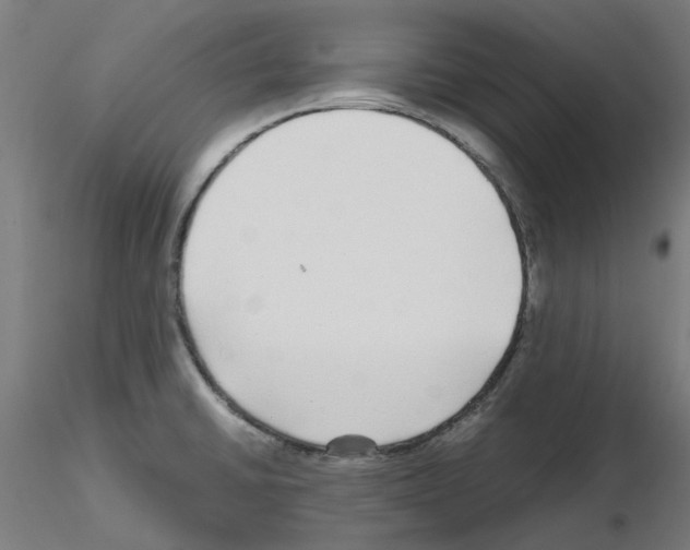X0000115641430200912221301