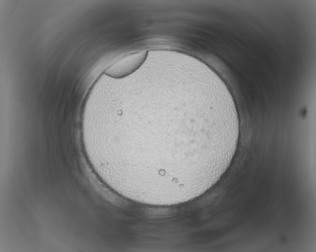 X0000115641431200912221301