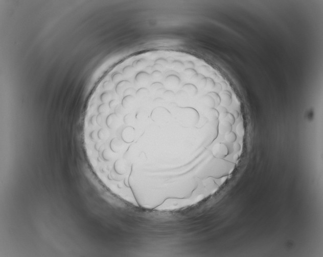 X0000115641432200912221301