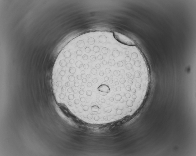 X0000115641433200912221301
