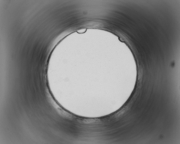 X0000115641434200912221301
