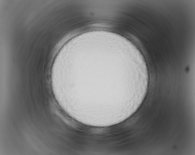 X0000115641435200912221301