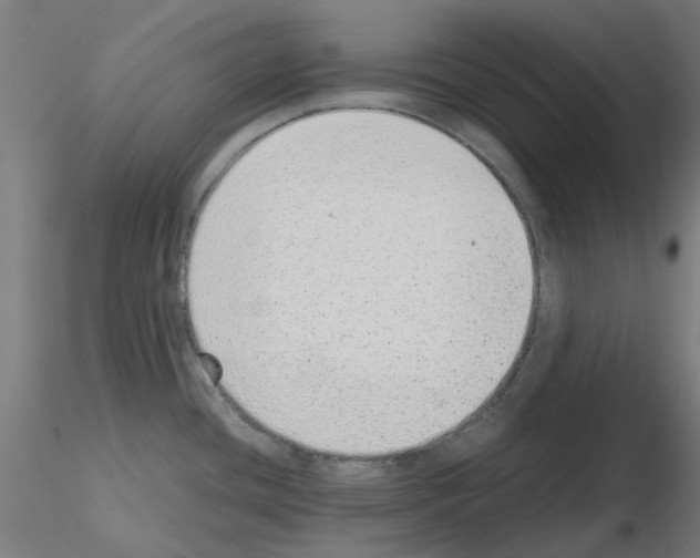 X0000115641436200912221301