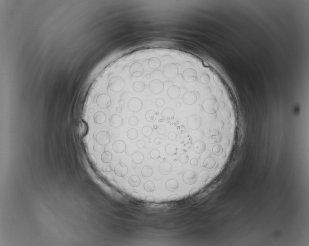 X0000115641437200912221301