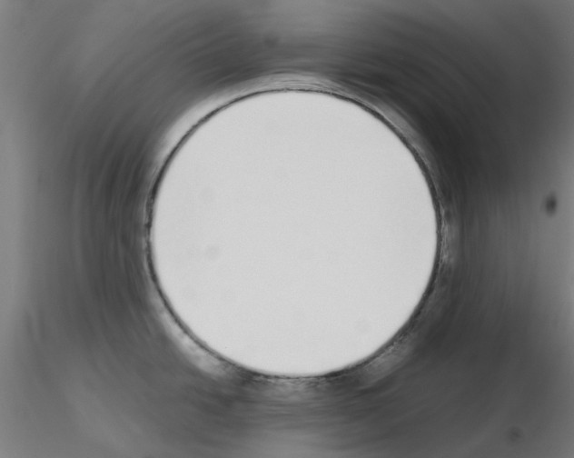 X0000115641438200912221301