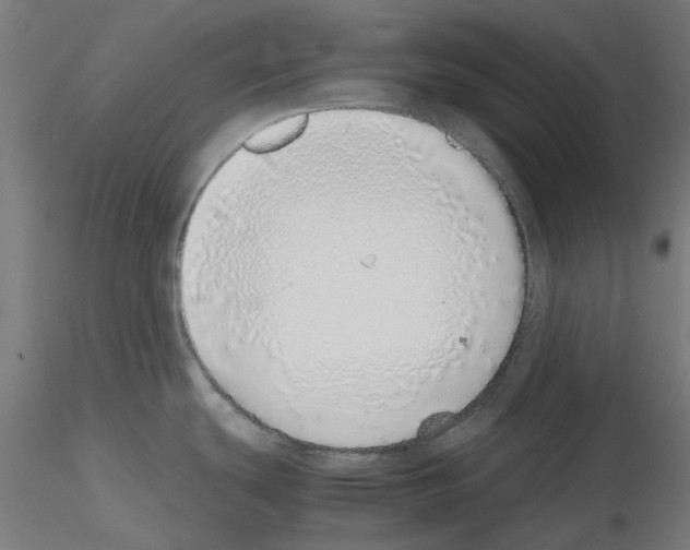 X0000115641439200912221301