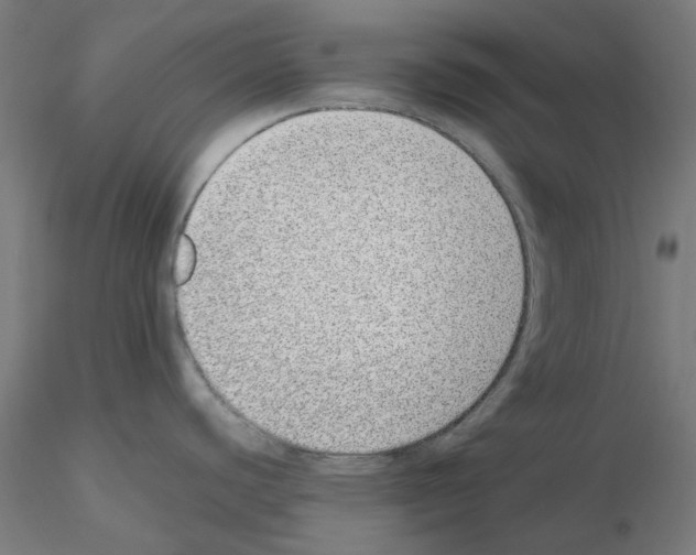 X0000115641440200912221301
