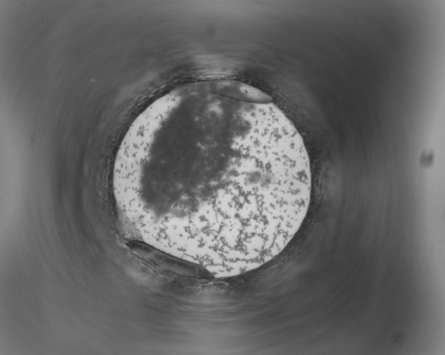 X0000115641441200912221300