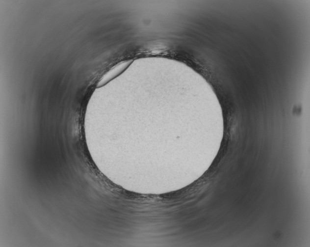 X0000115641442200912221300