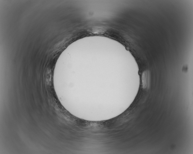 X0000115641443200912221300